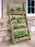 Langness Ladder Planter