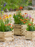 Milner Planter Set