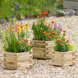 Milner Planter Set